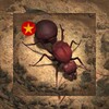 九九影院在线观看电视剧中文版
